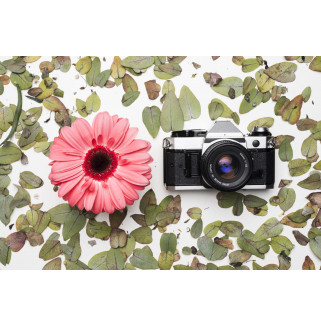 Atelier photo
