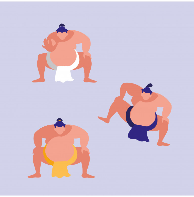 SUMO Nantes